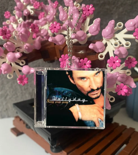 Jhonny Hallyday - Sang pour Sang